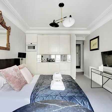 Magnificent 2p Studio - Louvre Museum Tuileries דירה פריז